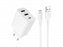 СЗУ Type-C BOROFONE BA105A 3port 3A кабель Micro белый - фото